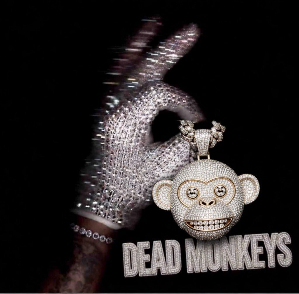 DEAD MONKEYS tweet media