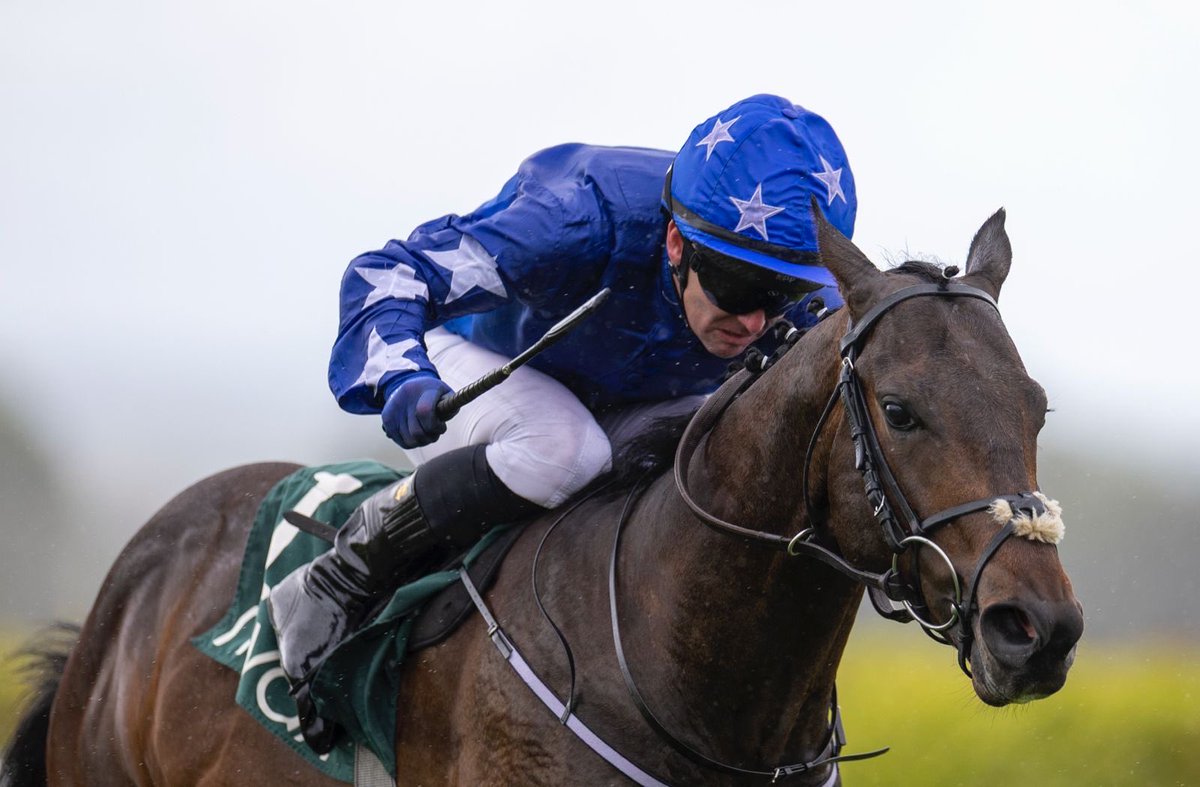 Navan Racecourse tweet media