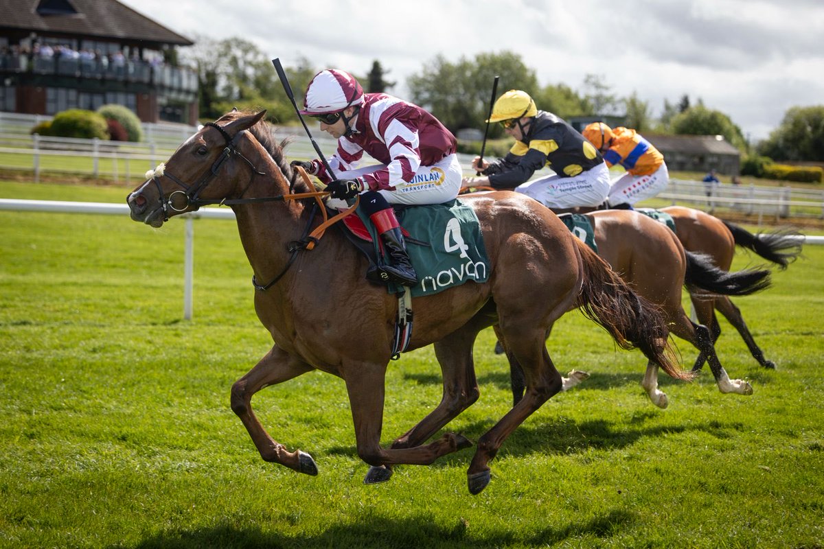Navan Racecourse tweet media