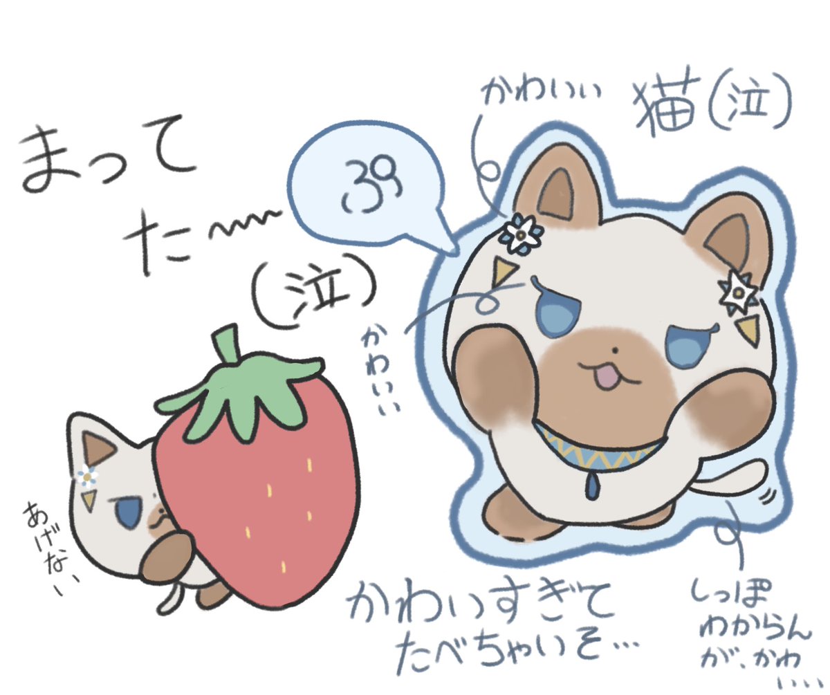 雛乃 tweet media