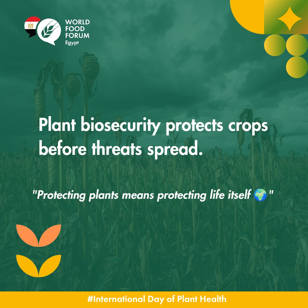 WFF_Egypt's tweet photo. We highlight the importance of protecting plants to ensure food security, biodiversity, and sustainable development for all.Healthy plants mean healthier people and a healthier plant. 
#WorldFoodForum #Egypt
  #international_day_of_plant_health #FAO https://t.co/bkYuJ8RFNo