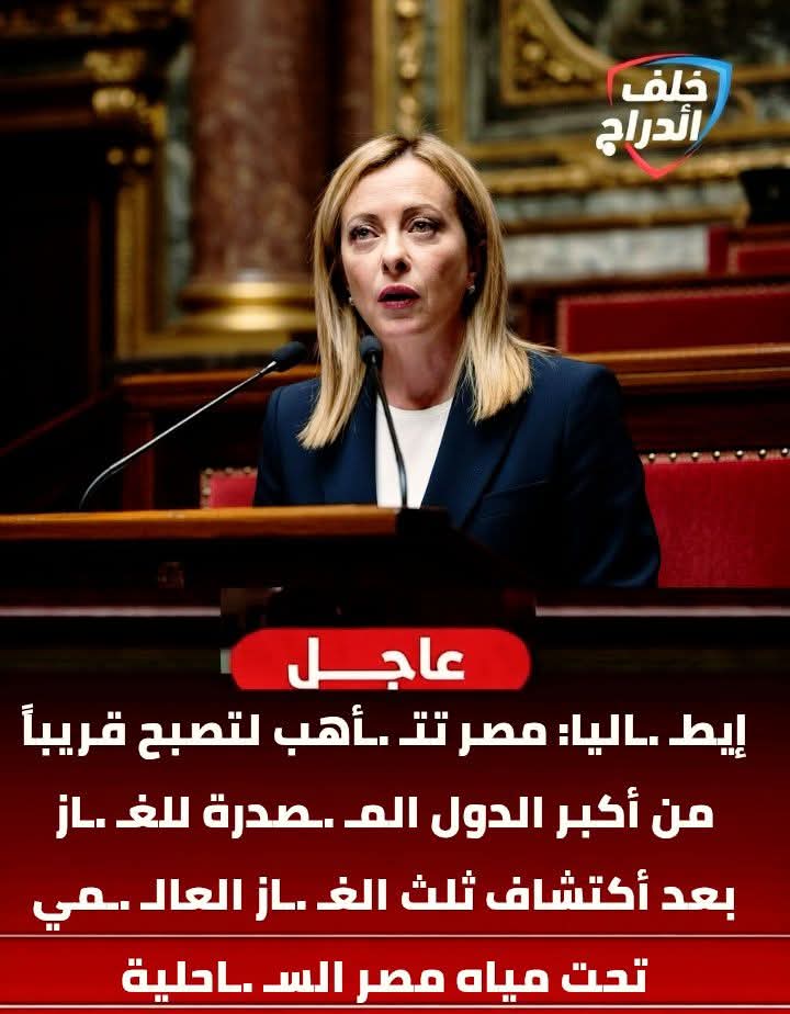 🇪🇬❤🇪🇬Nany Shehab🇸🇦💚🇸🇦 tweet media