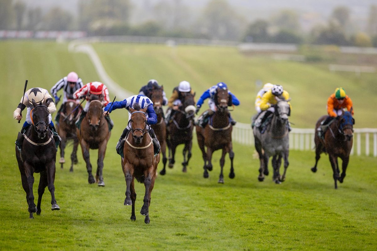 NavanRacecourse's tweet photo. Howd’yadoit 🥇

Ran on well for team Ger Lyons and Gary Carroll! 

Congratulations to all winning connections 🙌 https://t.co/o9D3FEGM5Q