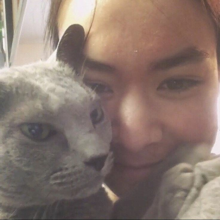 mitski data tweet media