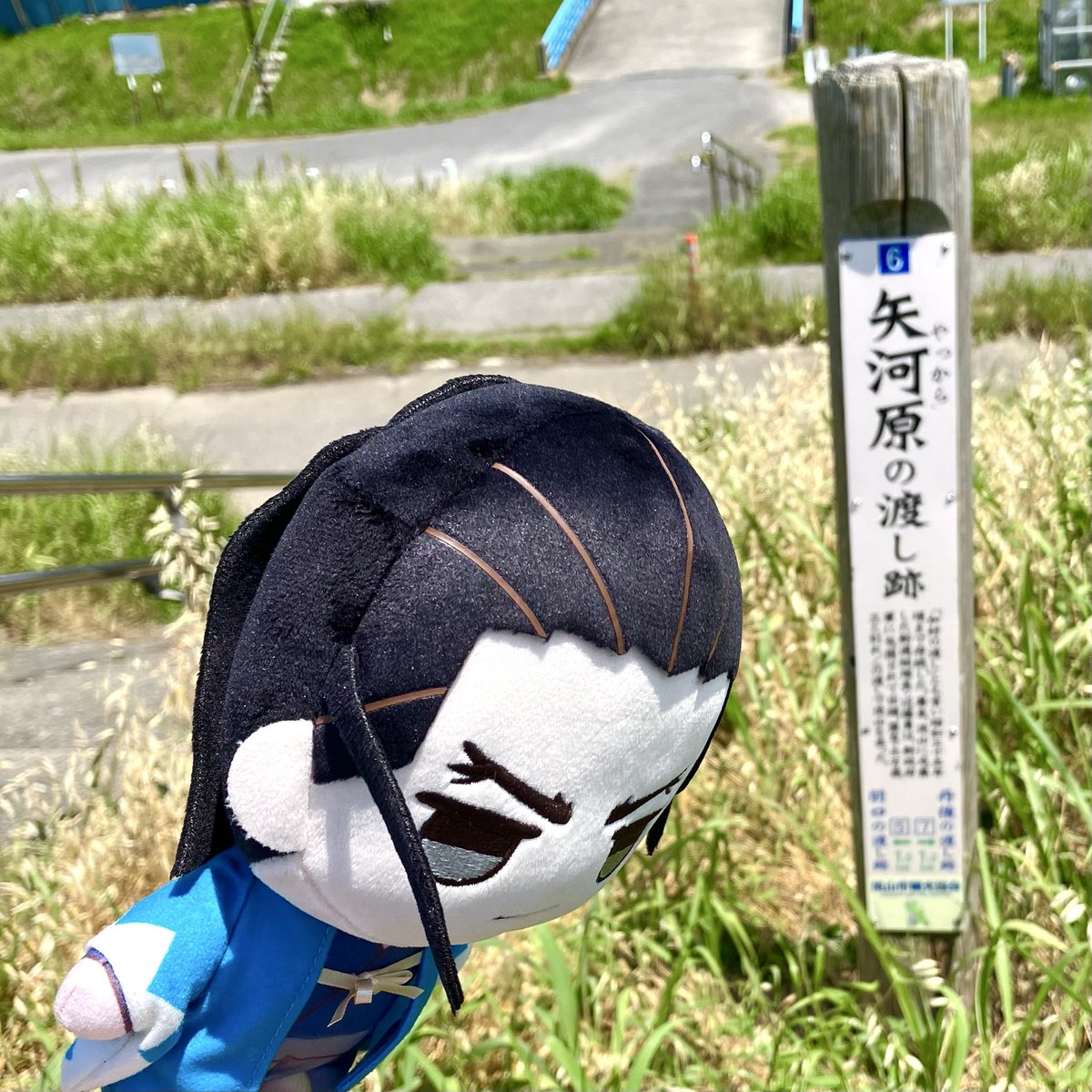 葵 tweet media