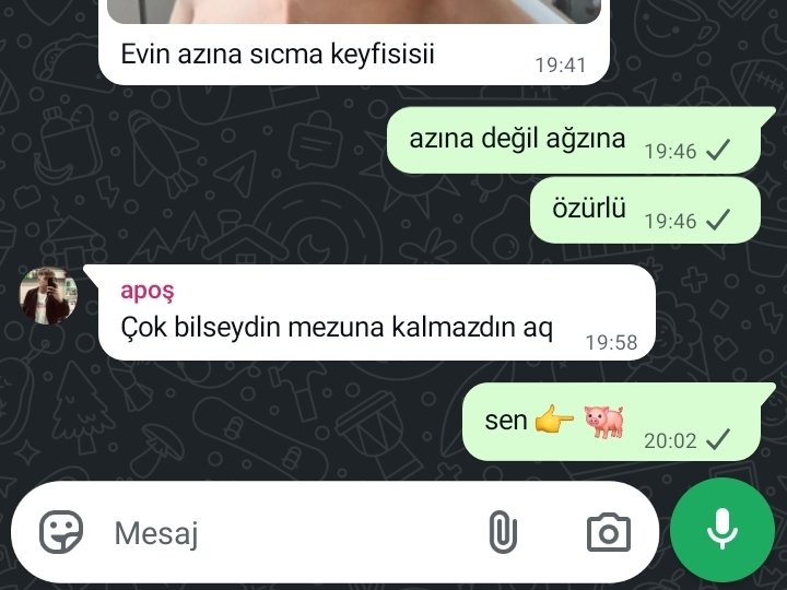 albinorakun tweet media