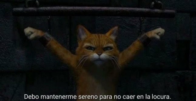 Mimirimi321's tweet photo. @Suugasd2 estoy rasgando las paredes 
Pero ando viendo los primeros dias del purgatorio para aguantar hasta mañana https://t.co/9xcsMPrdmd