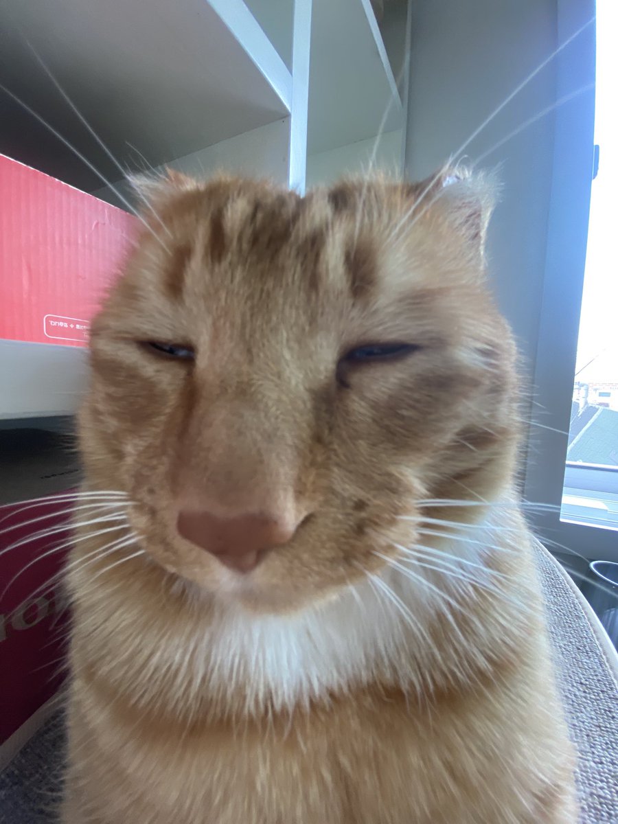 째무 tweet media