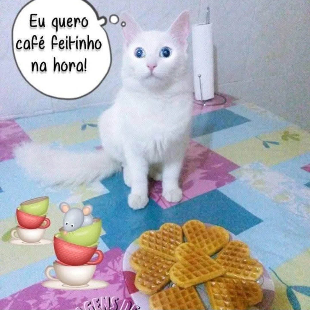 nicoly ☆ tweet media