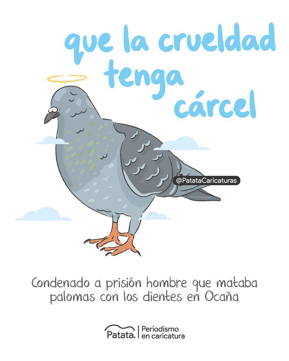 PATATAdibujo's tweet photo. 🙌🏼🕊️ Gracias a la #LeyÁngel un hombre que mataba palomas está en la cárcel. 
🧵 https://t.co/L566fFHDav