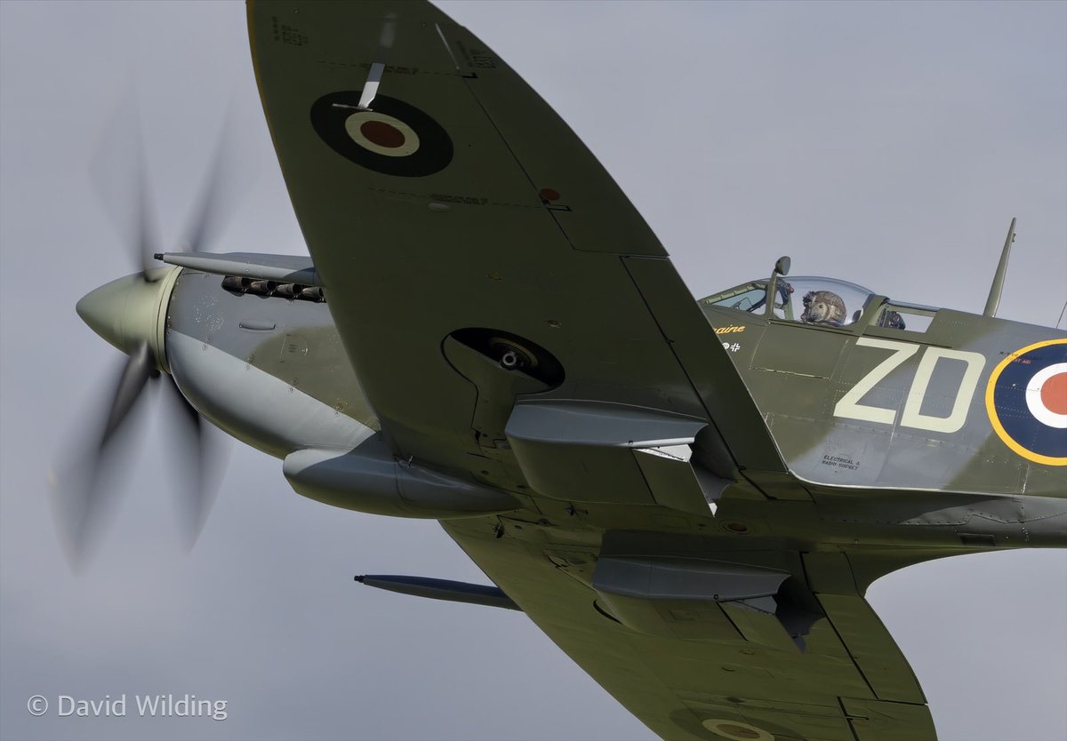 🛩️🇬🇧 David Wilding 🇬🇧🛩️ tweet media