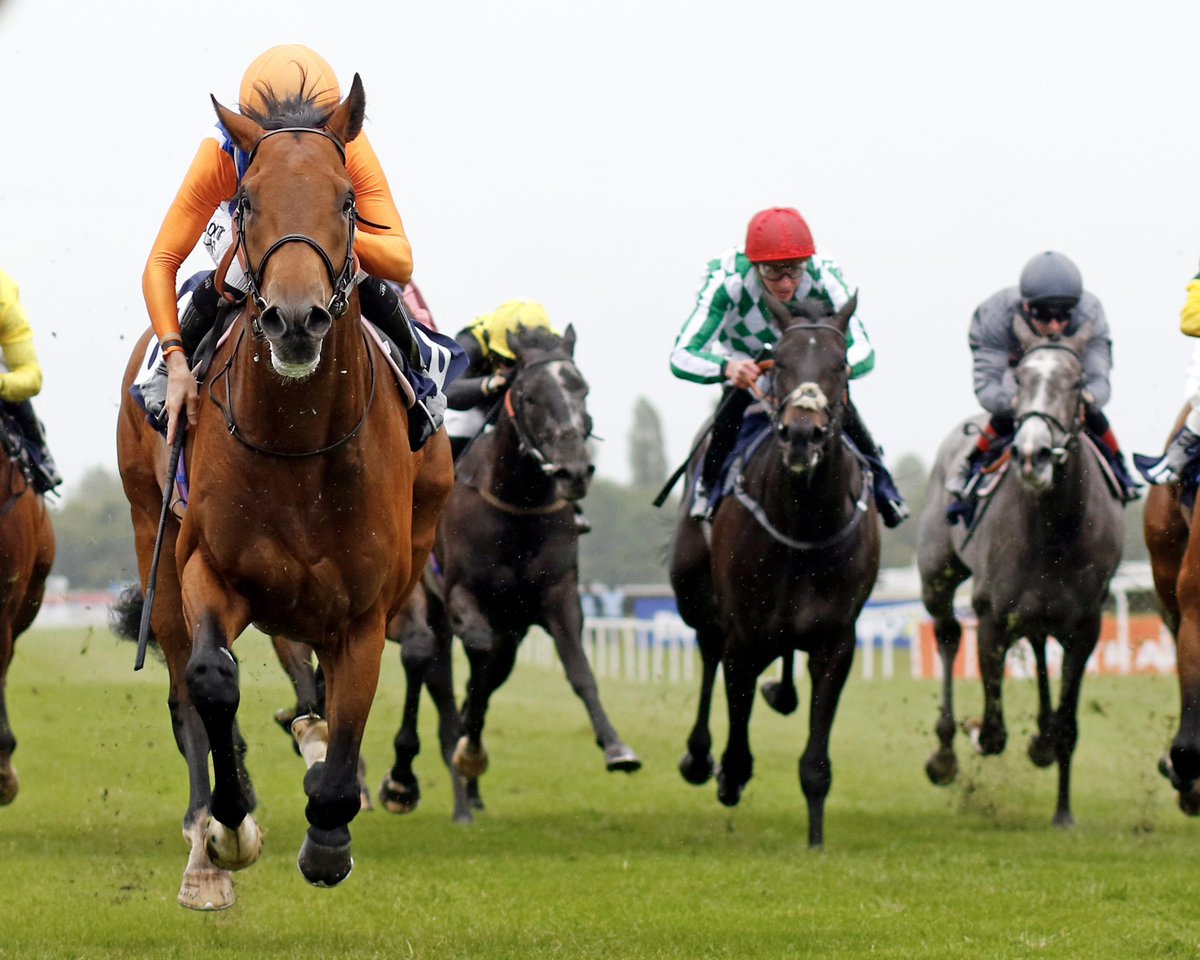 kingsdownstable's tweet photo. Euston Hall makes it 2/2 this year with a smart victory on handicap debut at Newbury under a great ride from Kieran Shoemark. Congratulations to his owners, West Paces Racing UK 2024 LLC 🏆

#KingsdownStables https://t.co/Uf2YfDm7EV