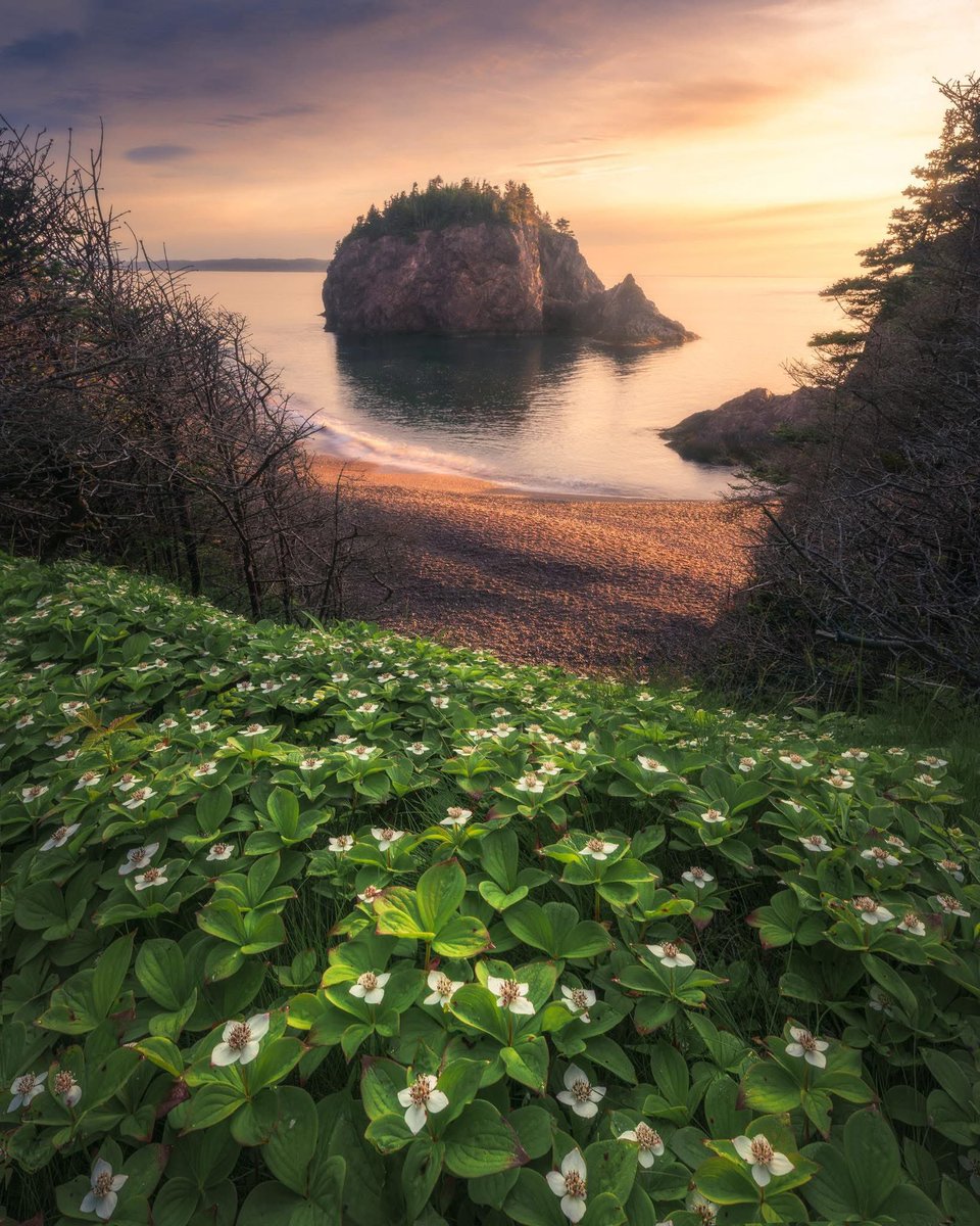 Gord Follett Photography tweet media