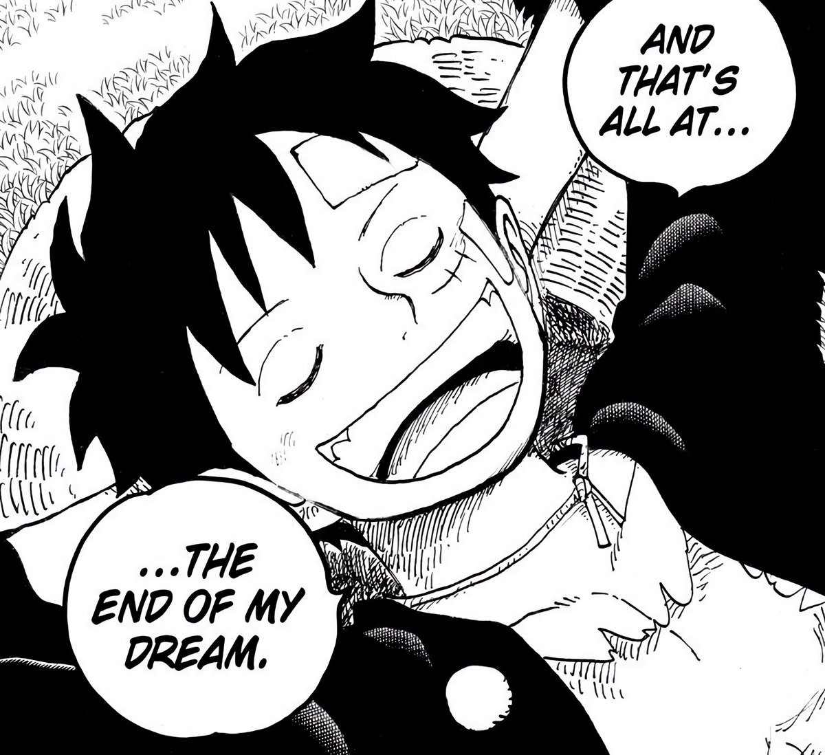 One Piece tweet media
