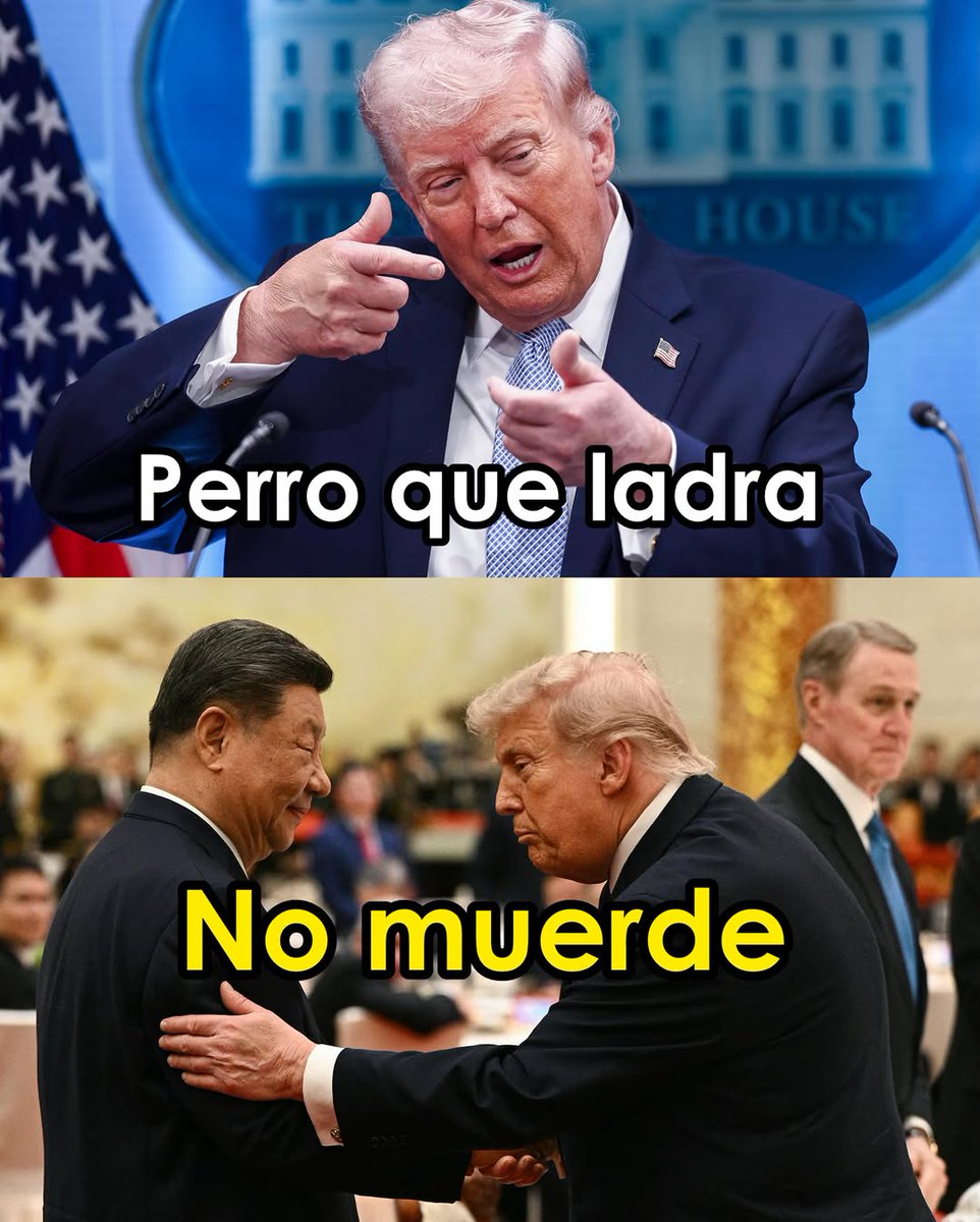 ZuritaCarpio tweet media