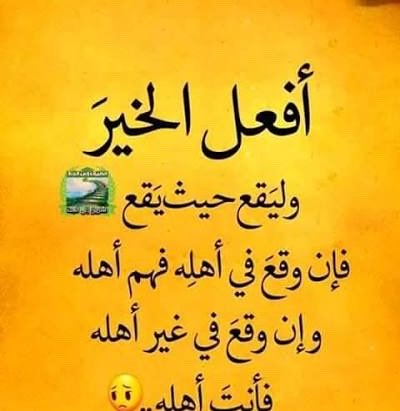ام حلا tweet media