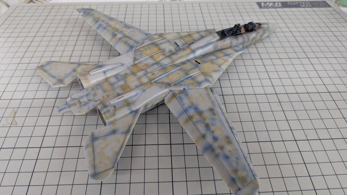🇹🇼ACE👽PIE⮕🇺🇸Hasegawa F-14D Grim Reapers W.I.P tweet media
