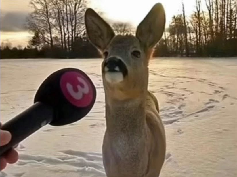 BLΛCK tweet media