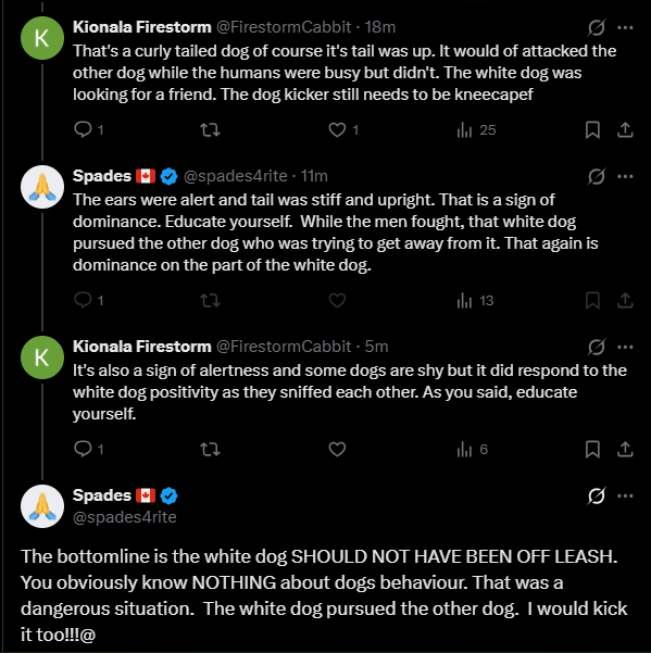 Kionala Firestorm tweet media