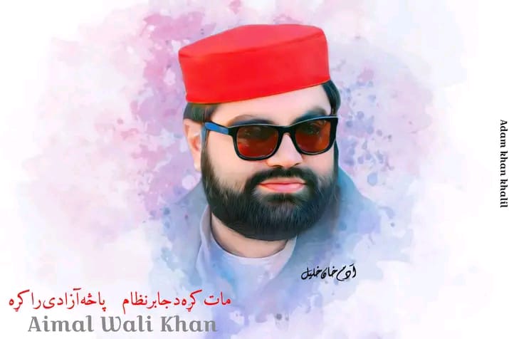Nationalist Hammad tweet media