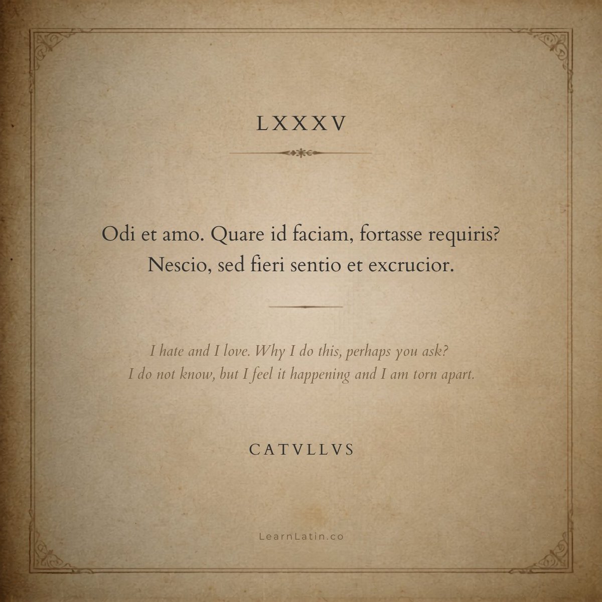 Learn Latin tweet media