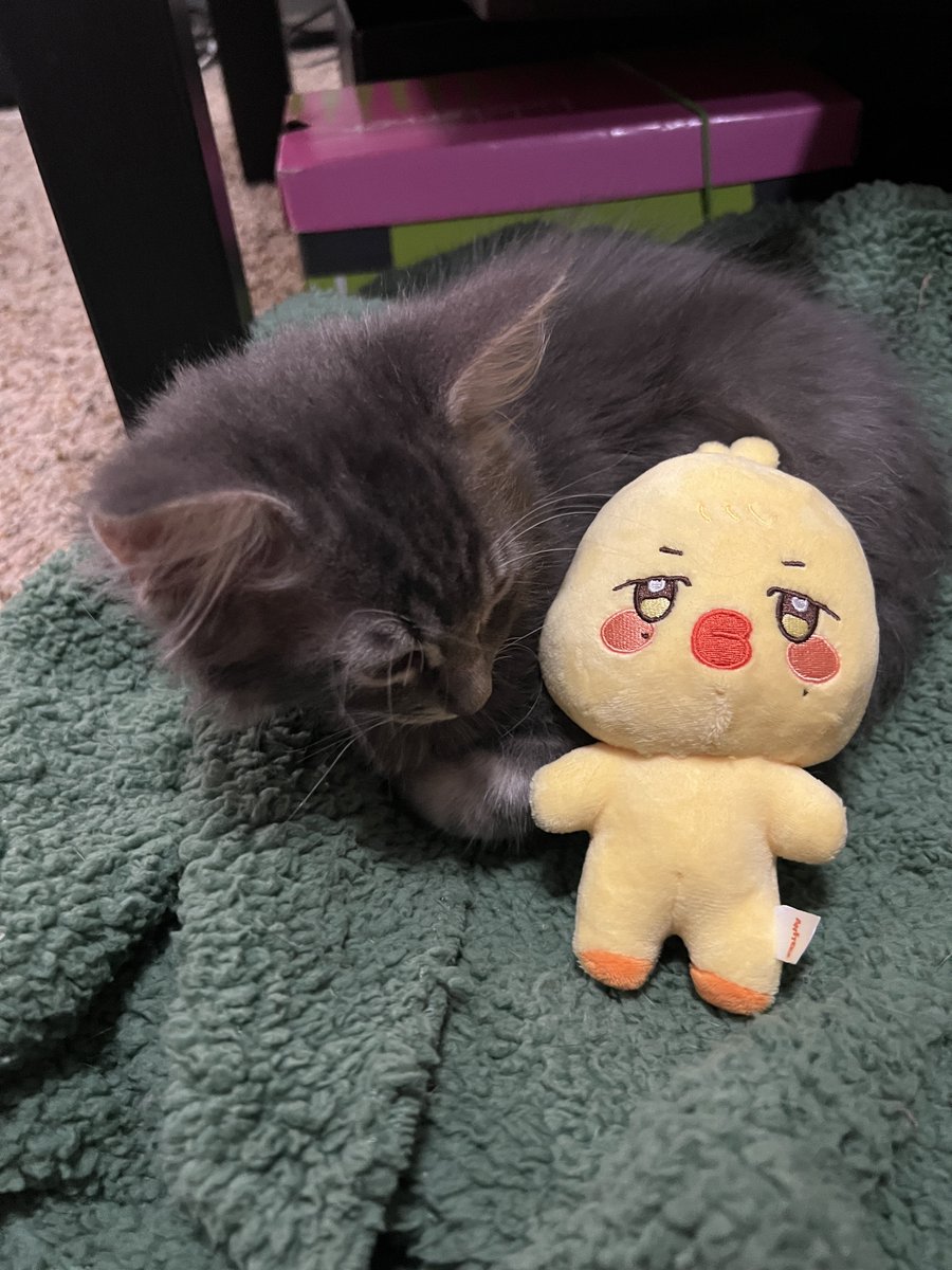 lee ₊ ⊹ •᷄ɞ•᷅ ⊹ artiny 🐥 tweet media
