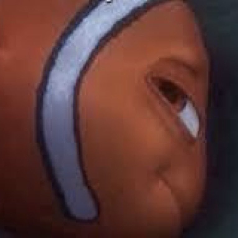 nemo tweet media