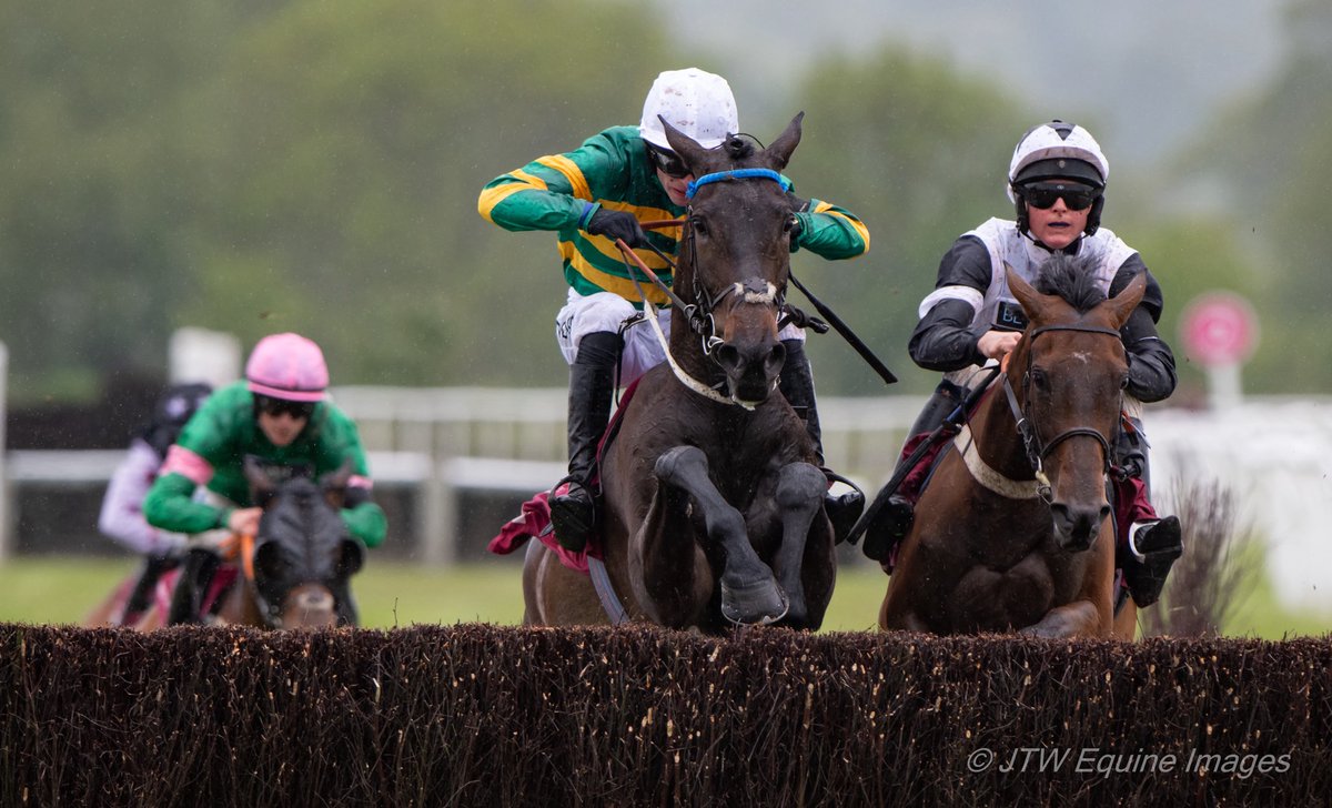JTW Equine Images tweet media