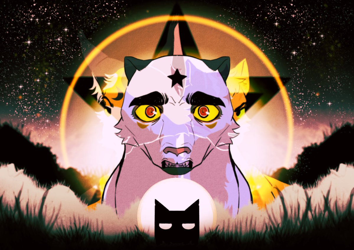 Soren 💫 #1 Blackstar Fan tweet media