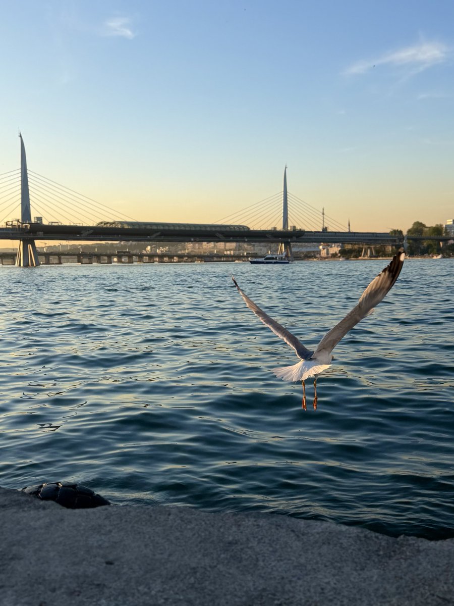 ailhame's tweet photo. 📍İstanbul #today https://t.co/nSOpNK7OcL