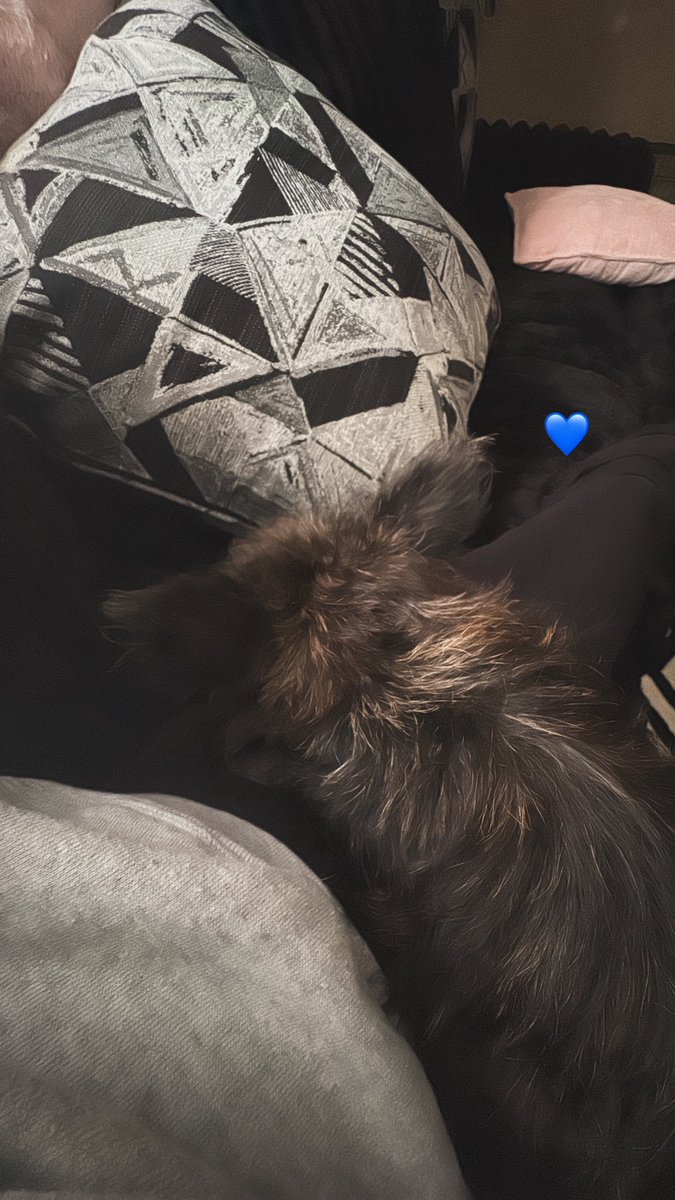 KaylaCallery2's tweet photo. rip to my baby kayne😢🦋♾️im so hurt. my first child. i love you &amp; will miss you sm. 😢 https://t.co/7AQpL8yVC0