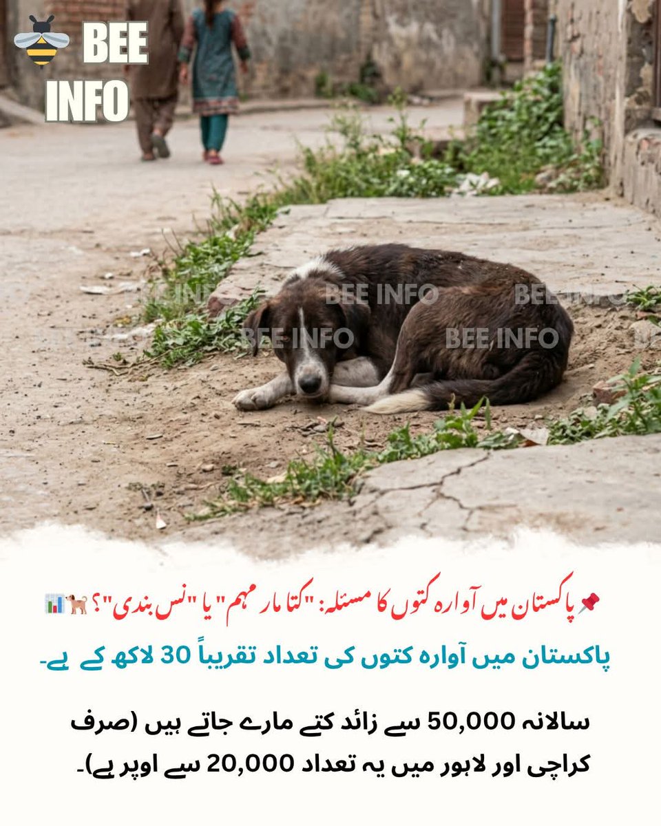 Fatima Mahmood TKFP tweet media