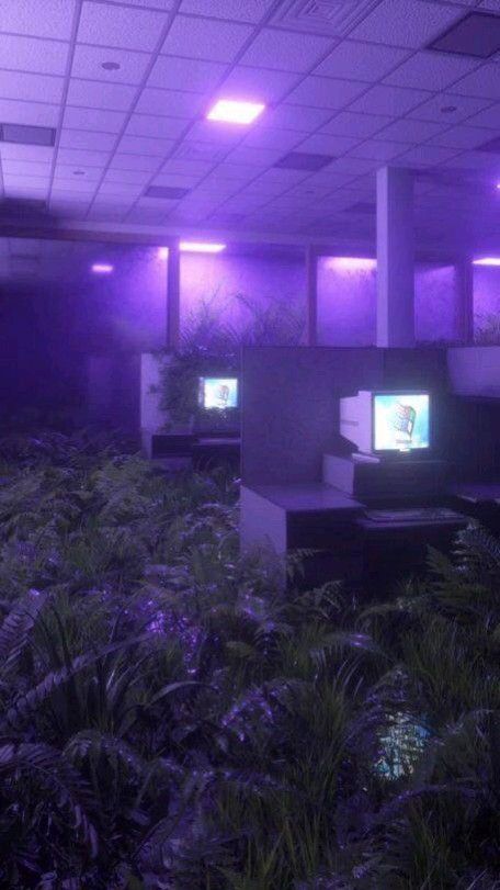 liminal__dreams's tweet photo. https://t.co/AhIok8tZXG