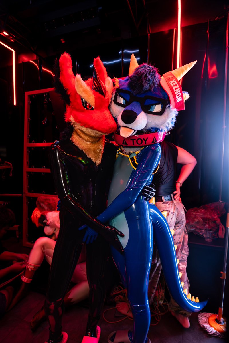 ShinyXeznom 🔙 Thaitails 2026 🔜 MYFur2026 tweet media