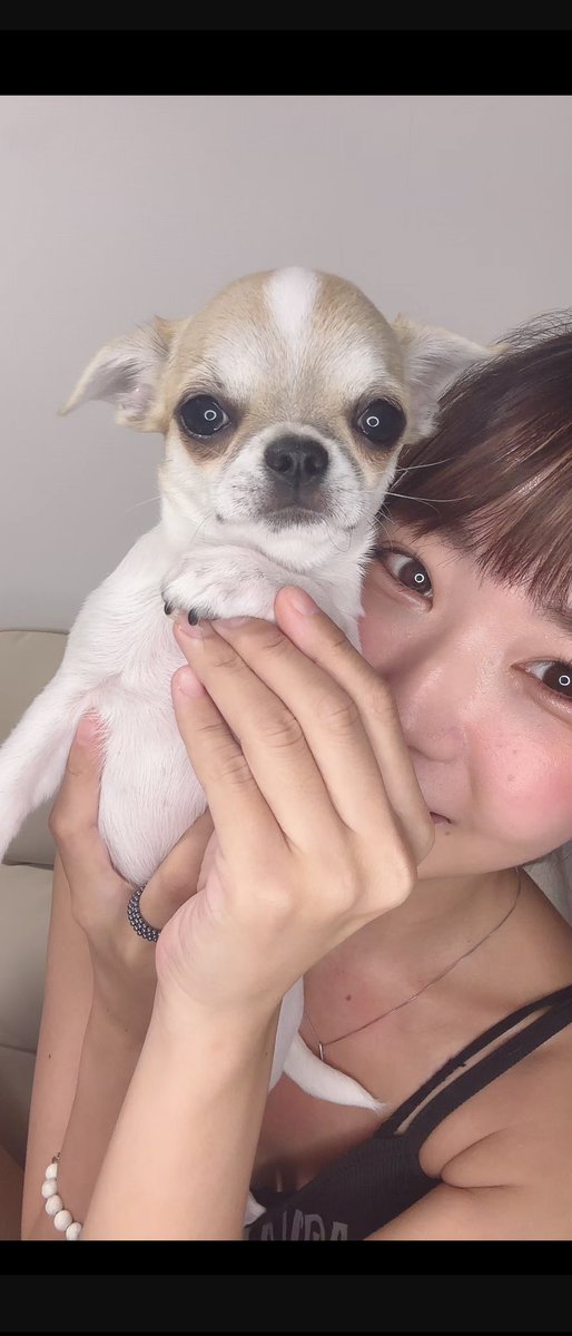 lihu55's tweet photo. ワンちゃんにめっちゃ好かれてるんが分かるライブ🐶 https://t.co/K6ZK7AtP3a