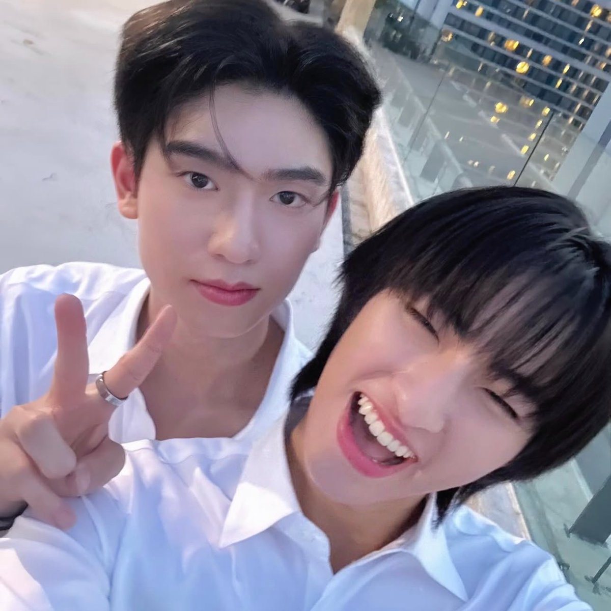babii ; pofo ⋆ mas ꒰🐈꒱ ˚⊹ tweet media