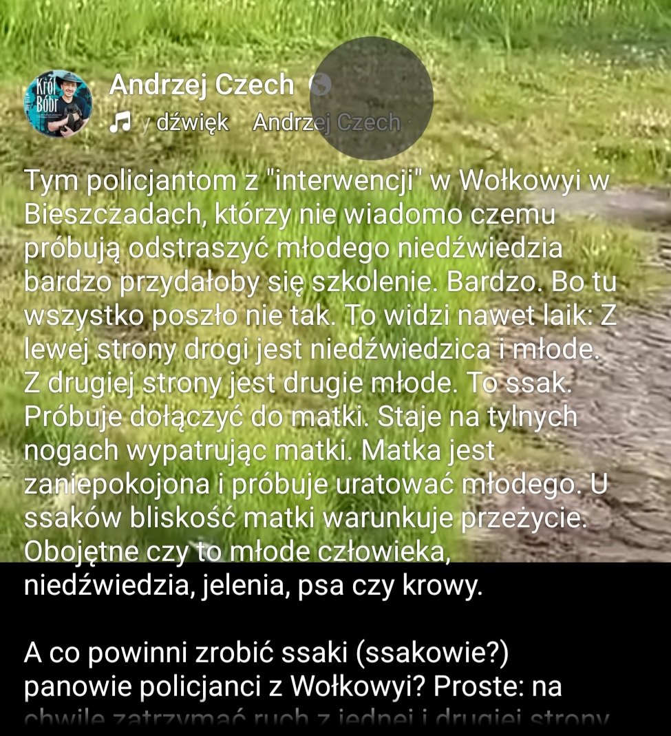 Agnieszka Gozdyra tweet media