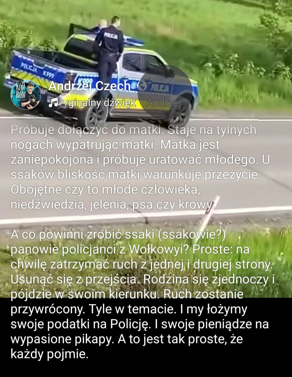Agnieszka Gozdyra tweet media