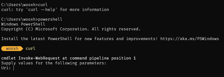 user00wx's tweet photo. @oops4041555 in powershell yes (because powershell is a slow ass garbage slop), but in cmd and every other shell it's the traditional curl command. https://t.co/lDanEUkay7