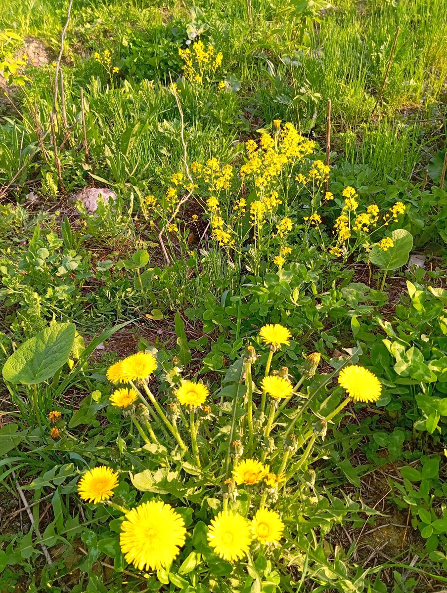Nature & Culture tweet media