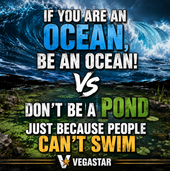 vegastar tweet media