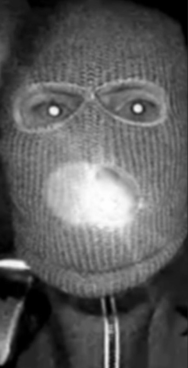 TrueCrime_GoBirds tweet media
