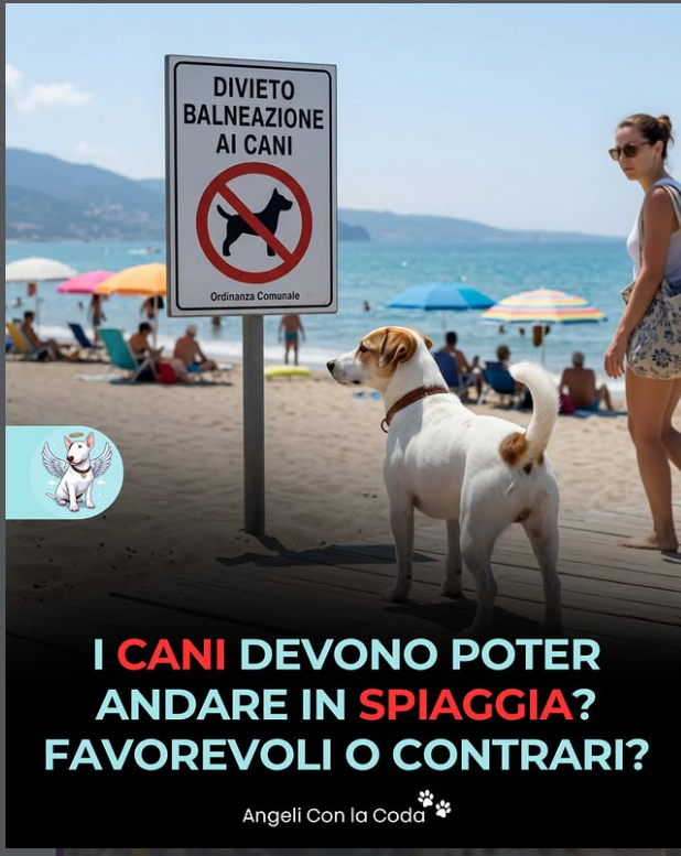 Francesco tweet media