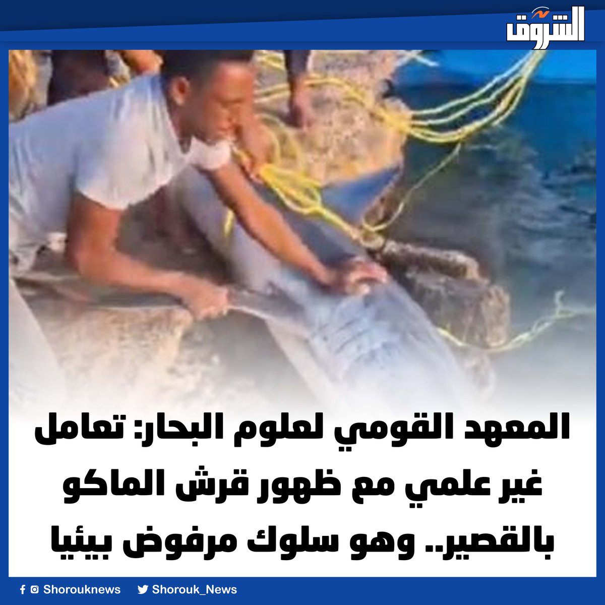 Shorouk News tweet media