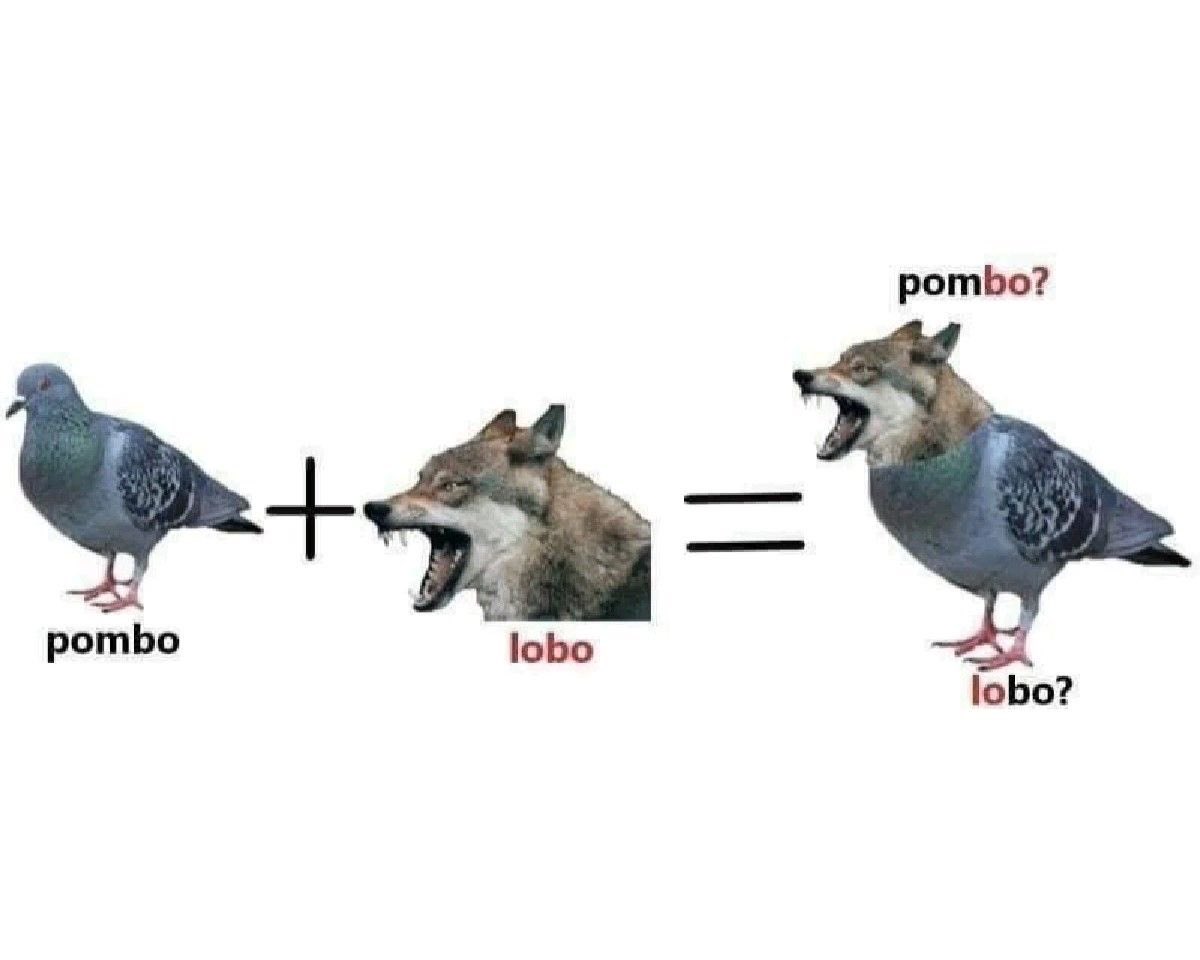 Shitpost só que de verdade tweet media