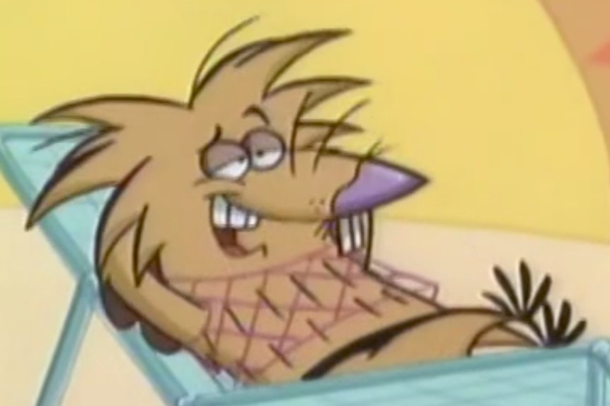 AngryBeaverNerd tweet media