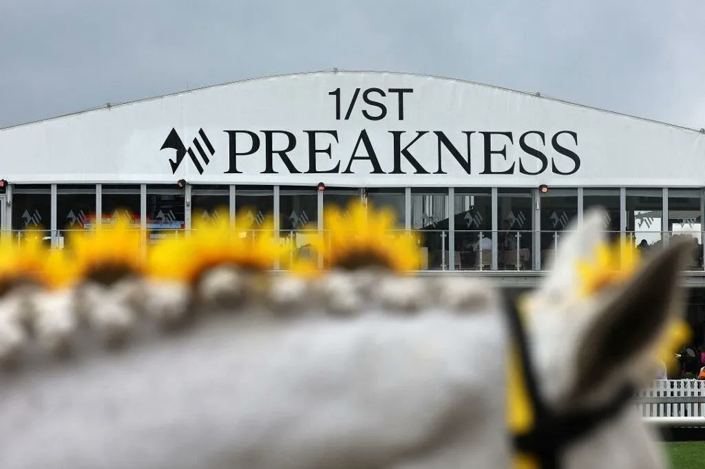 Bookmakers Review tweet media