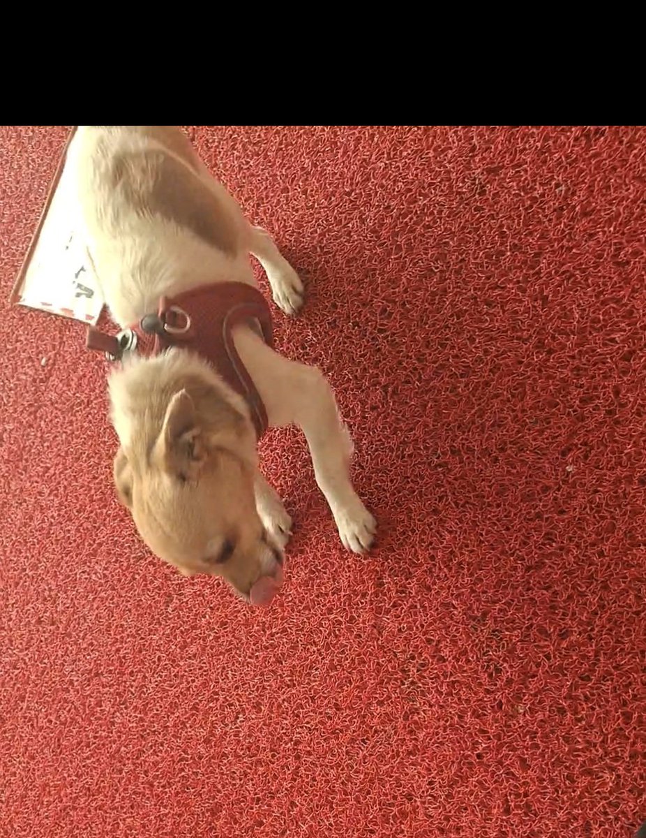 fatih tweet media