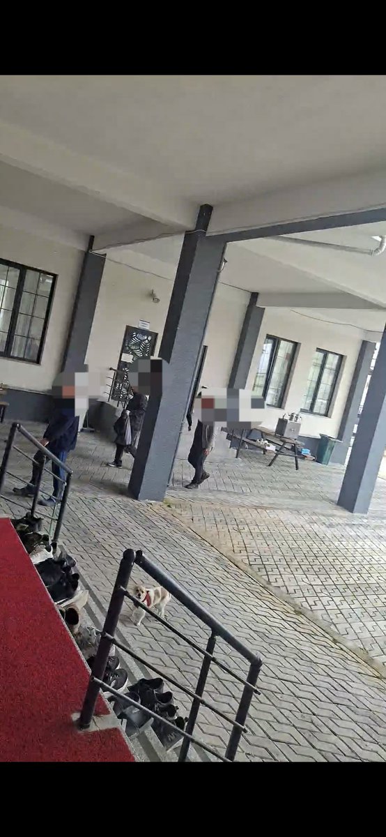 fatih tweet media