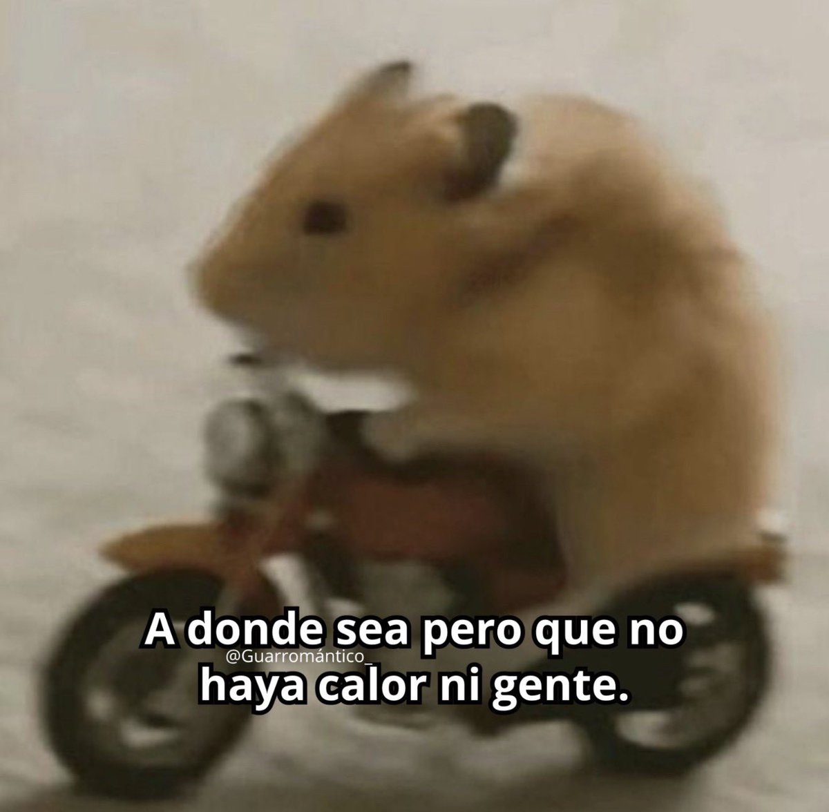 Guarromantico_'s tweet photo. A donde sea. https://t.co/l5IFDpbPvo